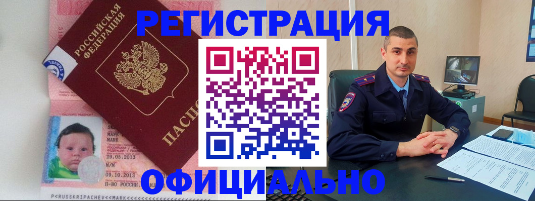 прописка поиск в Пестово